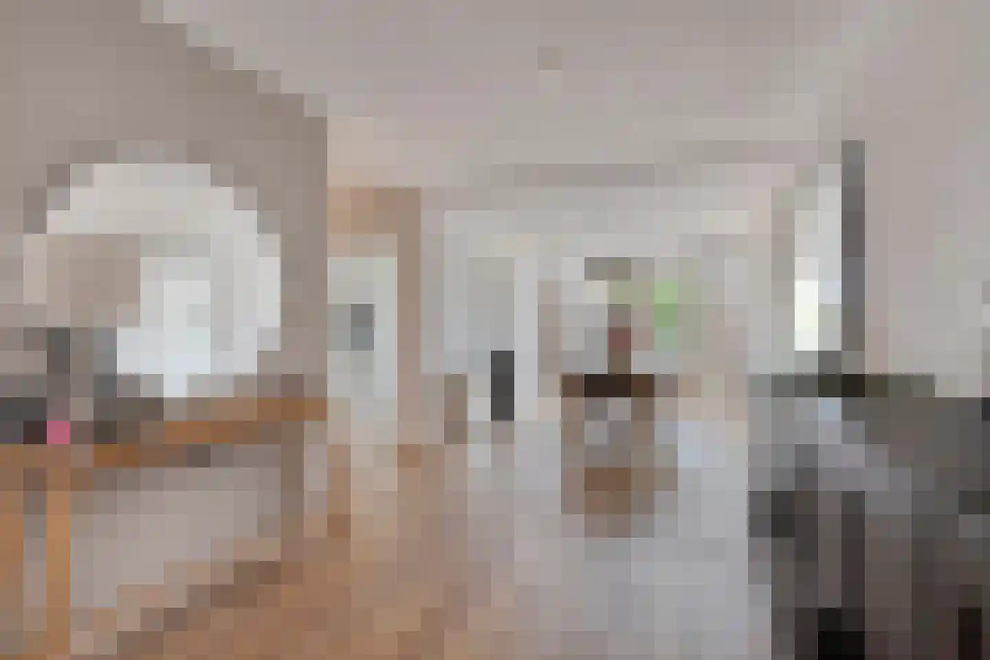 Weide 14 Druten thumbnail 9