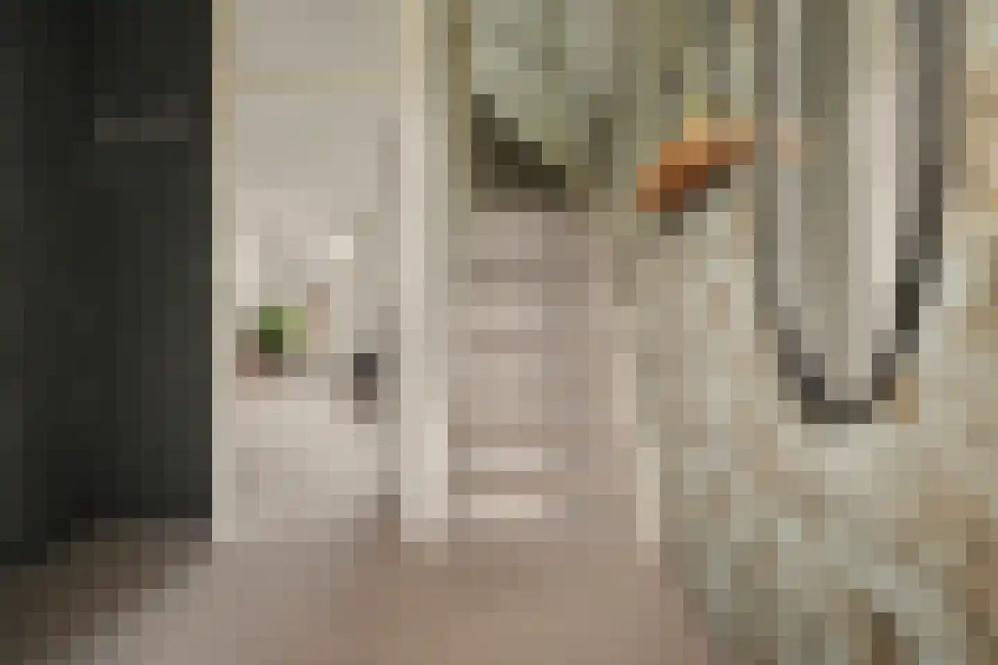 Weide 152 Dongen thumbnail 10