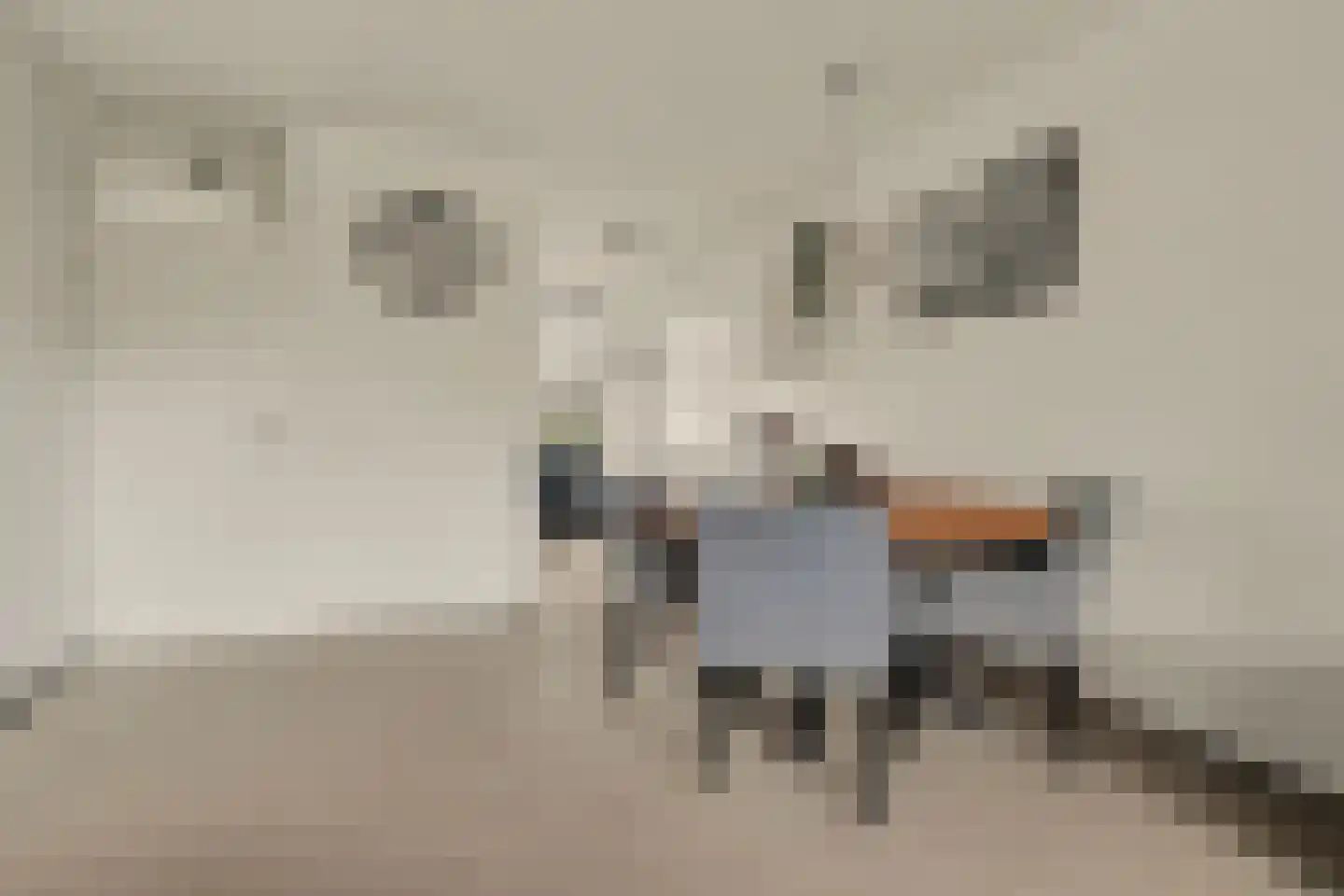 Weide 152 Dongen thumbnail 14