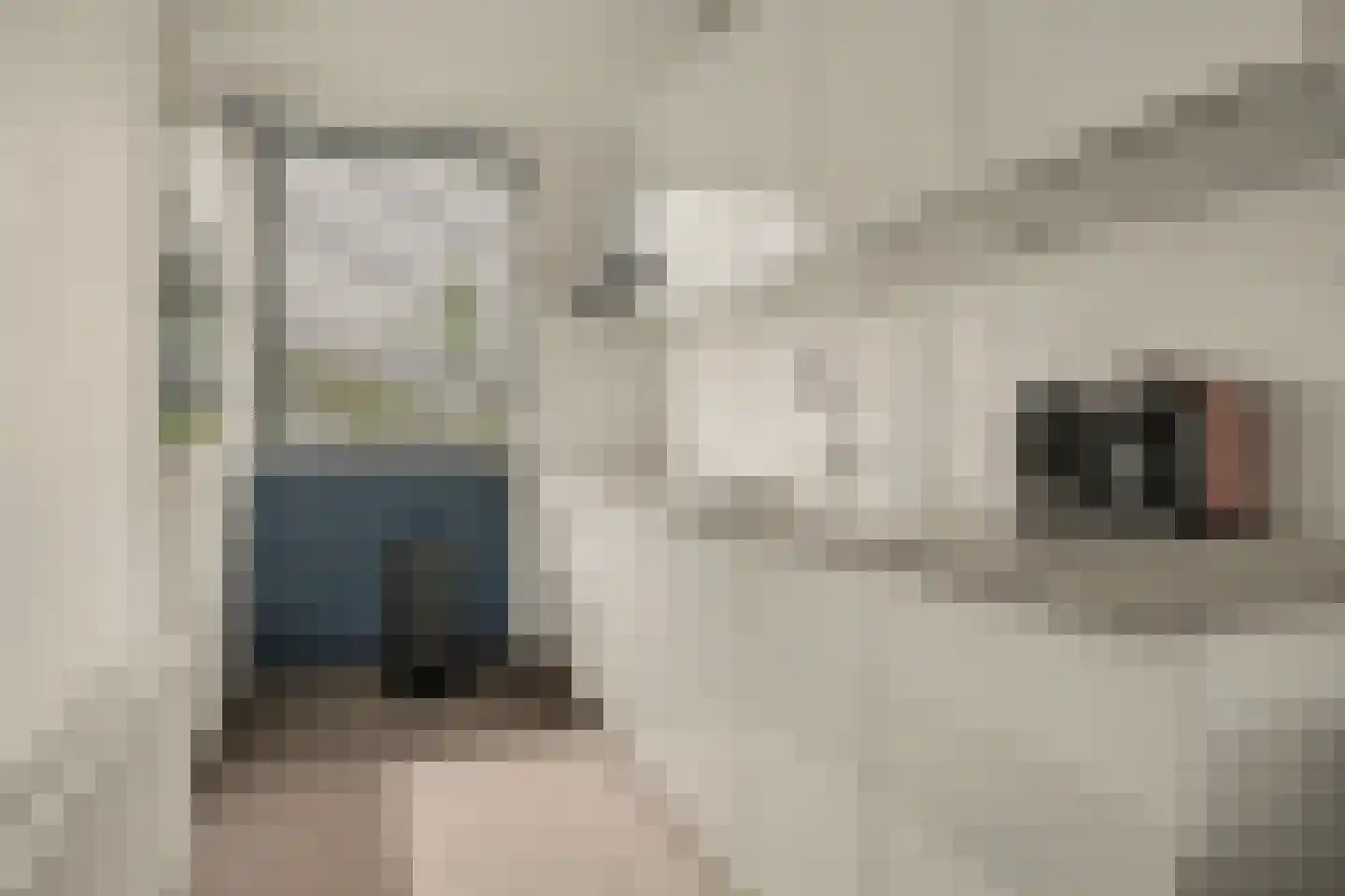 Weide 152 Dongen thumbnail 16