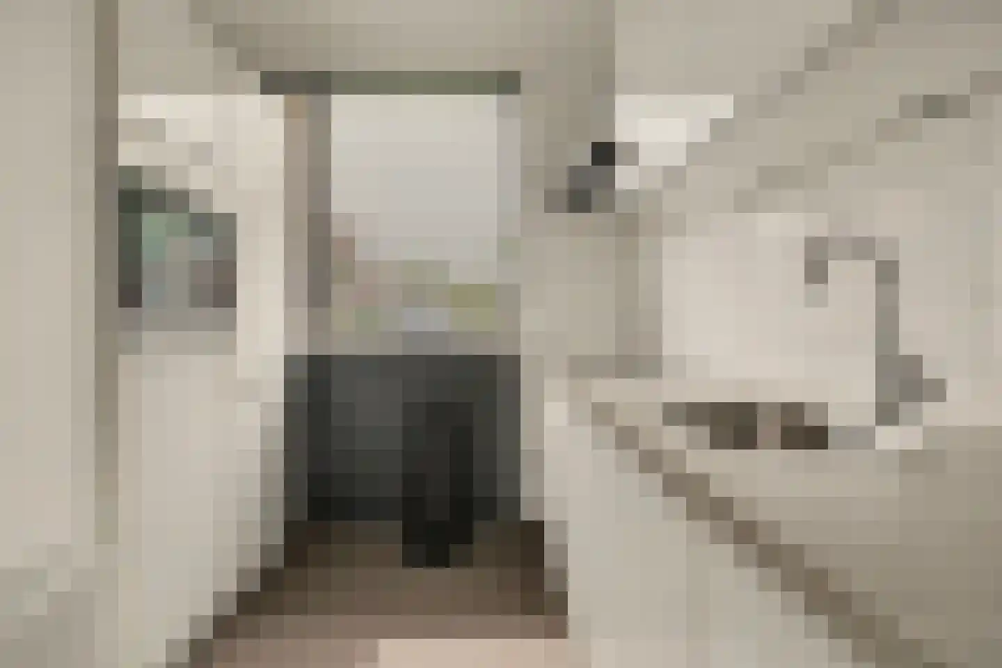 Weide 152 Dongen thumbnail 17