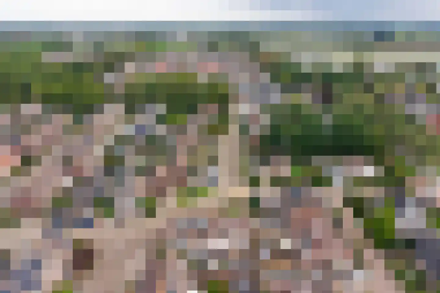 Weide 152 Dongen thumbnail 34