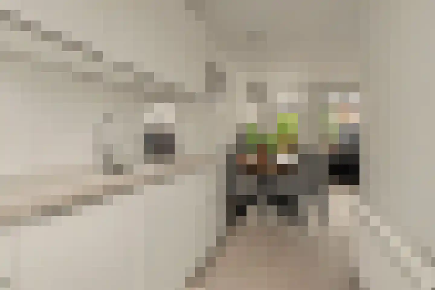 Weide 152 Dongen thumbnail 4