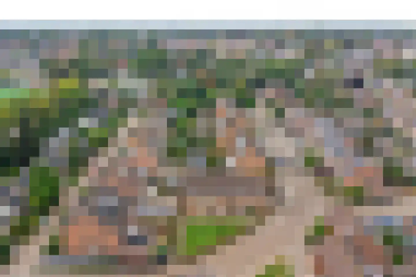 Weide 152 Dongen thumbnail 8