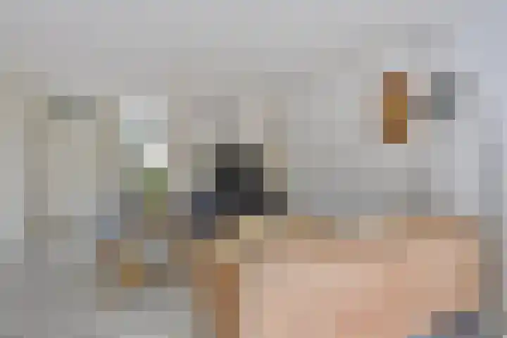 Weide 18 Stompetoren thumbnail 13