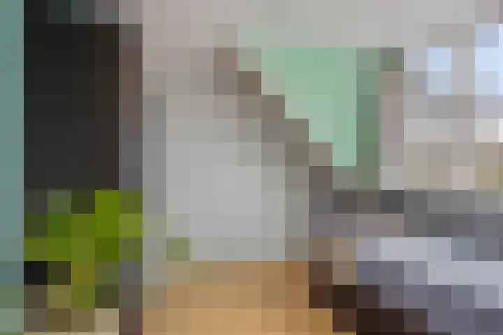 Weide 18 Stompetoren thumbnail 29