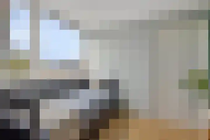 Weide 18 Stompetoren thumbnail 30