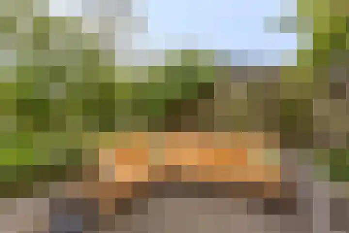 Weide 18 Stompetoren thumbnail 36