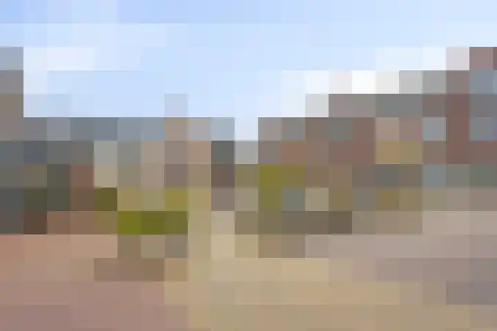 Weide 18 Stompetoren thumbnail 38