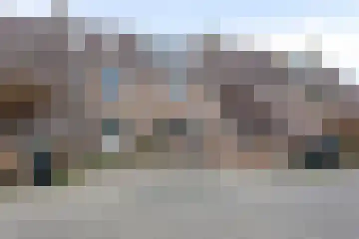Weide 18 Stompetoren thumbnail 7