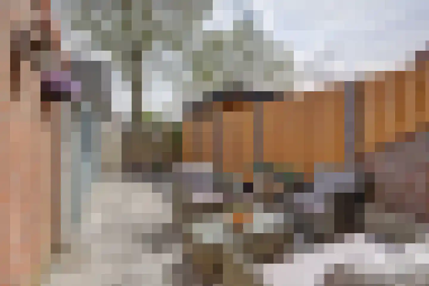 Weide 20 Leerdam thumbnail 30