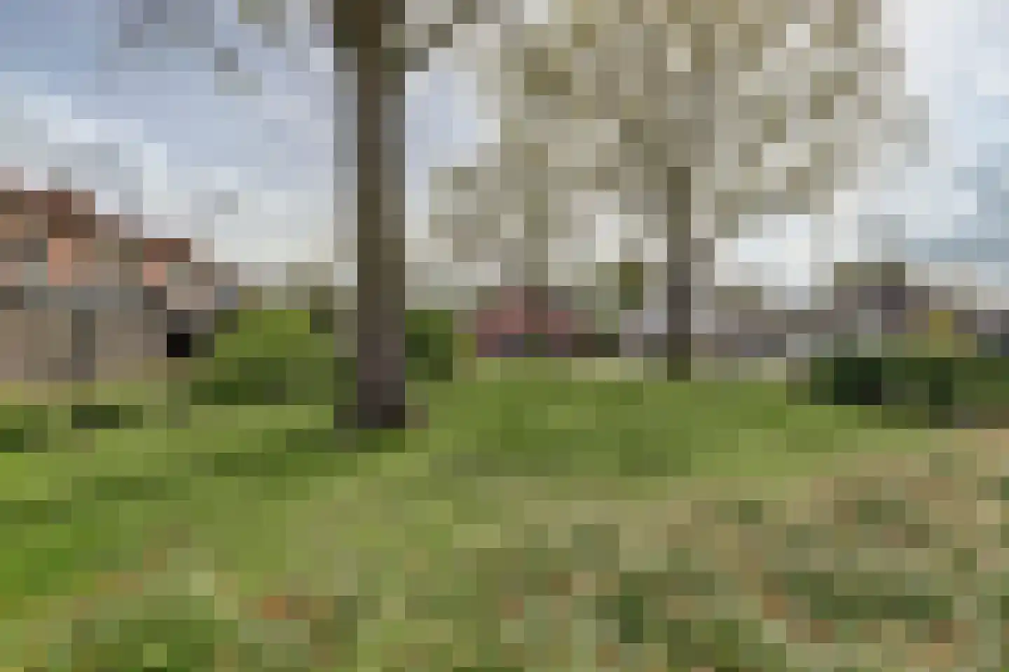 Weide 20 Leerdam thumbnail 37