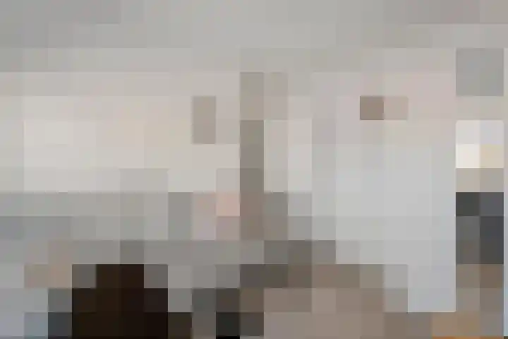 Weide 3 Druten thumbnail 19