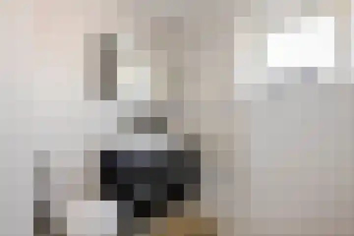 Weide 3 Druten thumbnail 21