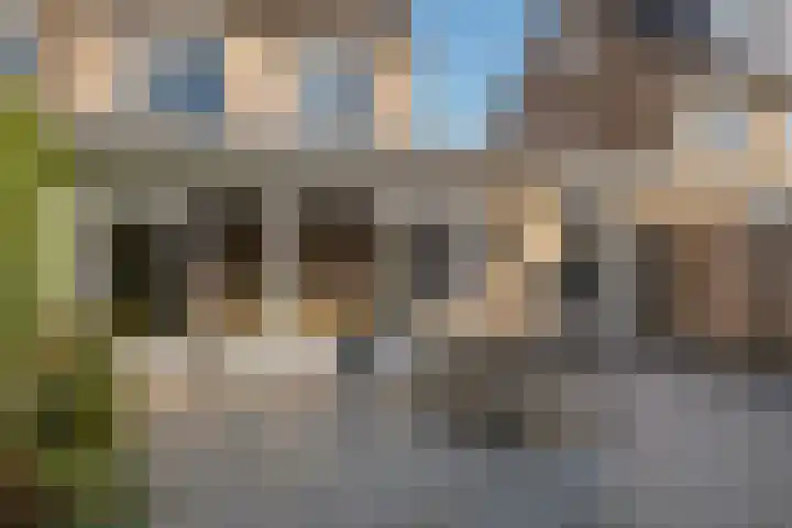 Weide 3 Druten thumbnail 27