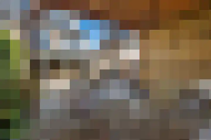 Weide 3 Druten thumbnail 31