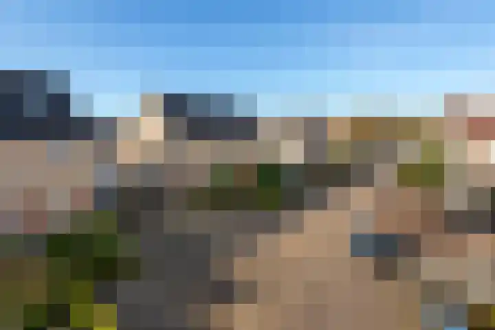 Weide 3 Druten thumbnail 33