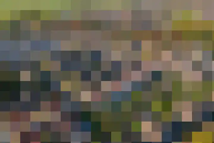 Weide 3 Druten thumbnail 34