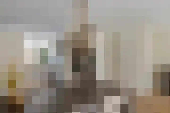 Weide 3 Druten thumbnail 8