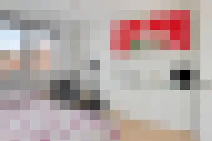 Weide 38 Dongen thumbnail 23
