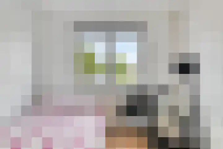 Weide 38 Dongen thumbnail 24