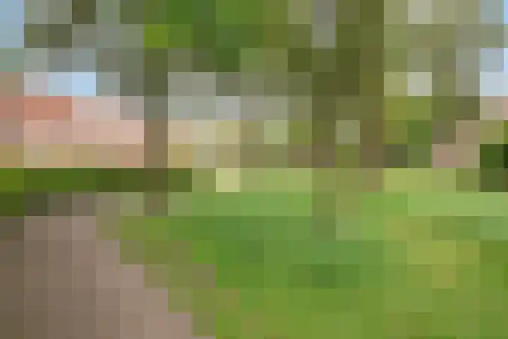 Weide 38 Dongen thumbnail 38