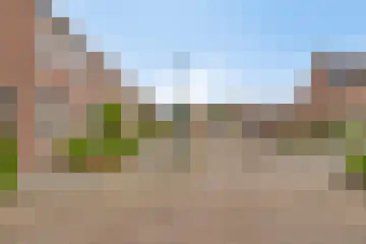 Weide 38 Dongen thumbnail 8