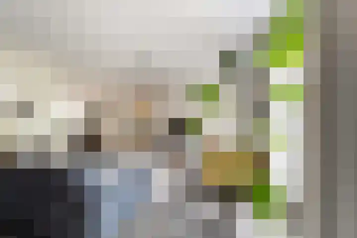 Weide 6 Stolwijk thumbnail 10