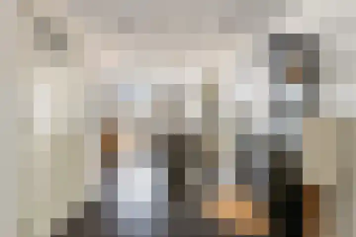 Weide 6 Stolwijk thumbnail 13