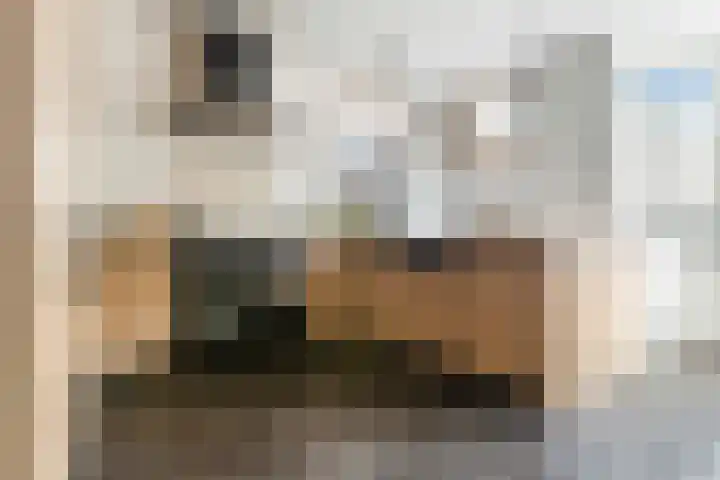 Weide 6 Stolwijk thumbnail 15