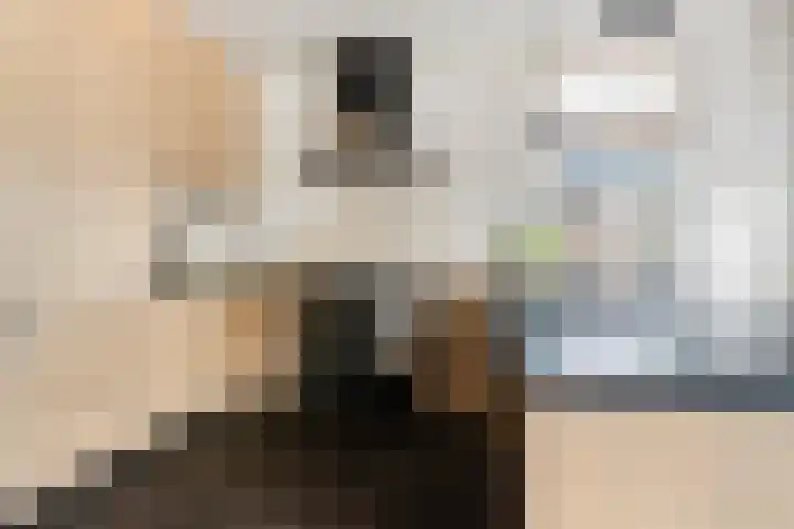 Weide 6 Stolwijk thumbnail 16