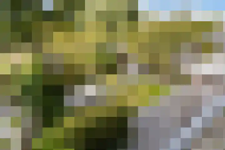 Weide 6 Stolwijk thumbnail 26