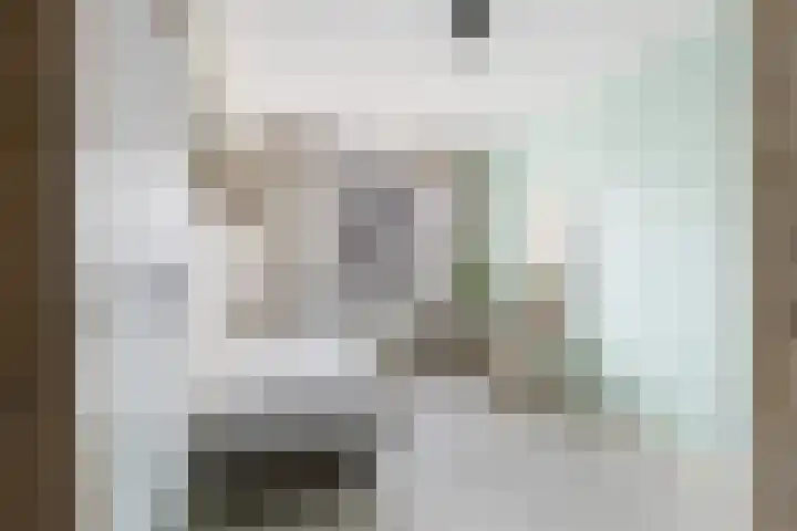 Weide 6 Stolwijk thumbnail 27