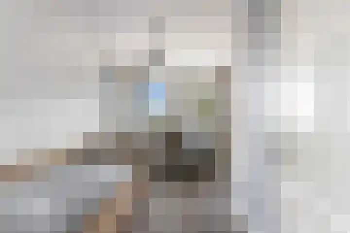 Weide 6 Stolwijk thumbnail 28