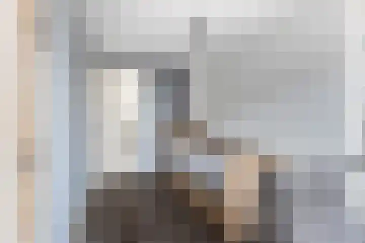 Weide 6 Stolwijk thumbnail 29