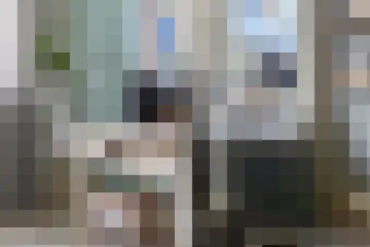 Weide 6 Stolwijk thumbnail 30
