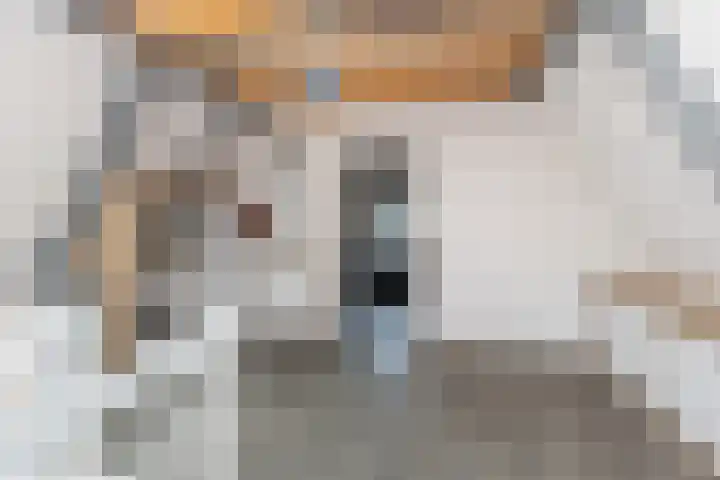 Weide 6 Stolwijk thumbnail 33