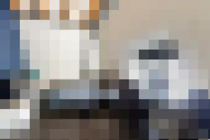 Weide 6 Stolwijk thumbnail 34