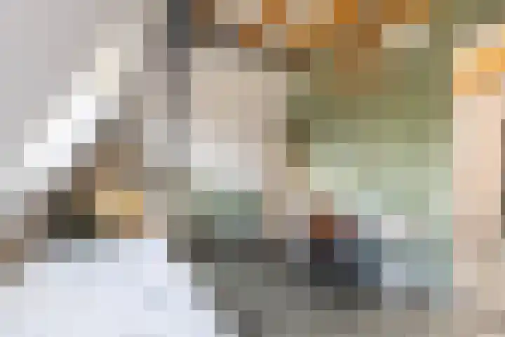 Weide 6 Stolwijk thumbnail 39