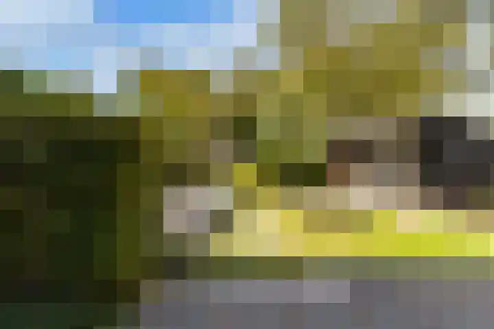 Weide 6 Stolwijk thumbnail 4