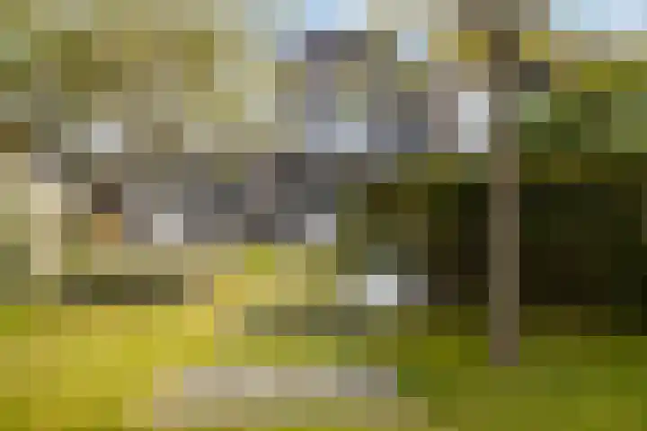 Weide 6 Stolwijk thumbnail 40