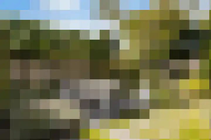 Weide 6 Stolwijk thumbnail 41