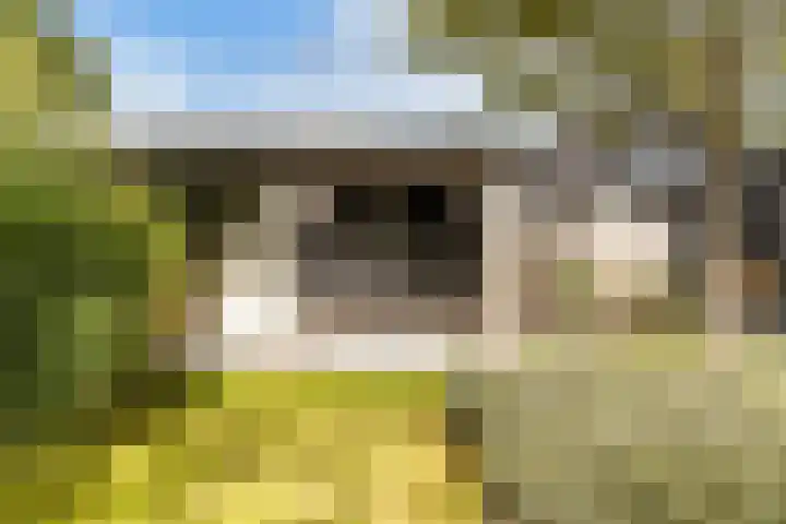 Weide 6 Stolwijk thumbnail 43