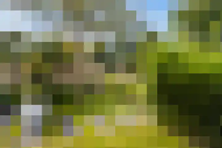 Weide 6 Stolwijk thumbnail 44