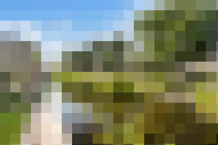 Weide 6 Stolwijk thumbnail 45