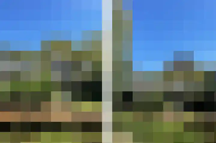 Weide 6 Stolwijk thumbnail 46