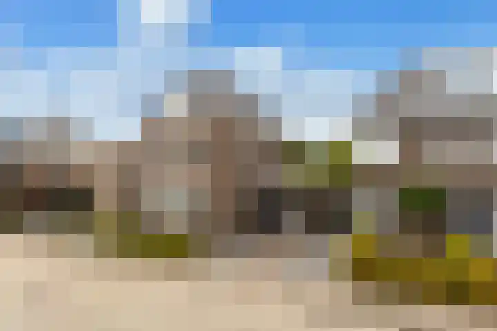 Weide 6 Stolwijk thumbnail 48
