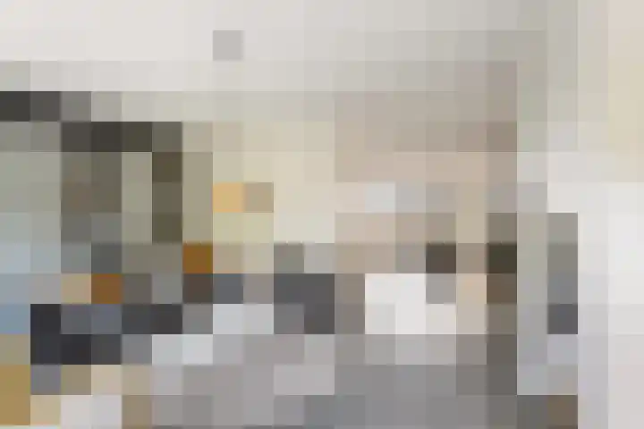 Weide 6 Stolwijk thumbnail 5
