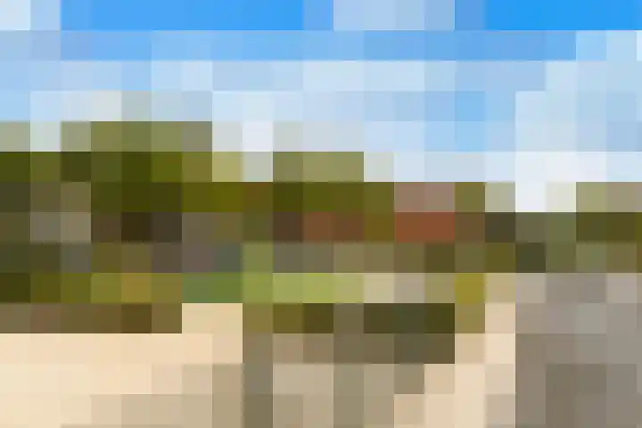 Weide 6 Stolwijk thumbnail 50