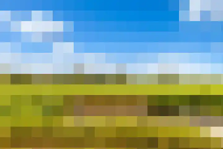 Weide 6 Stolwijk thumbnail 51